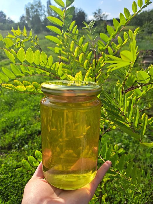 Vând miere de salcâm și poliflora