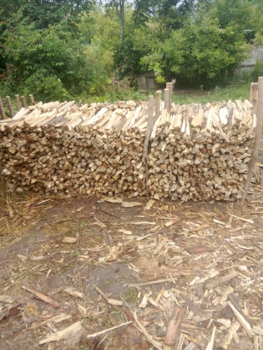 Продам дрова колотые