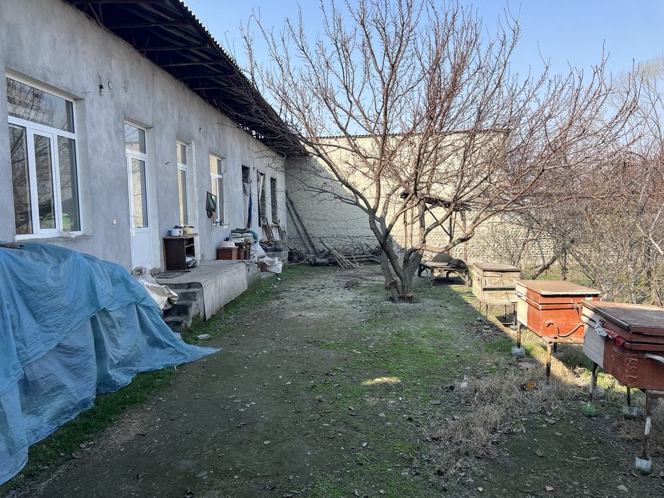 13 sotix uchastka sotiladi