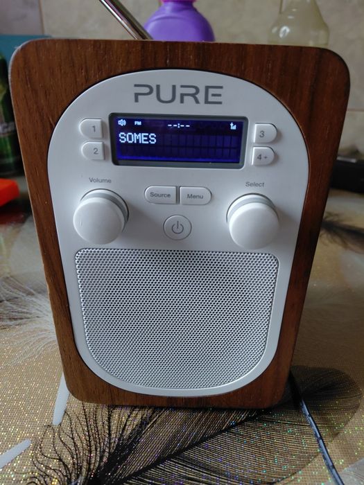 Vind radio Pure evoke d2