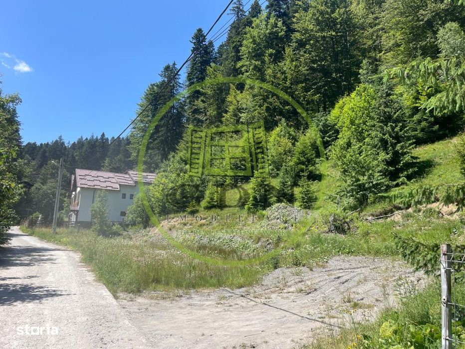 Teren 1.936 mp in Predeal cu Autorizatie de Construire – Oportunitat