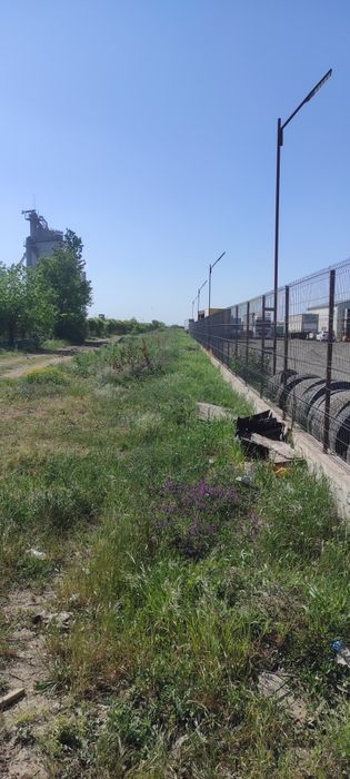 Teren de inchiriat Rudeni Chitila