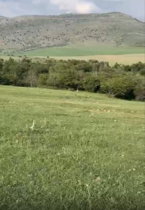 Продам землю, жер сатылады