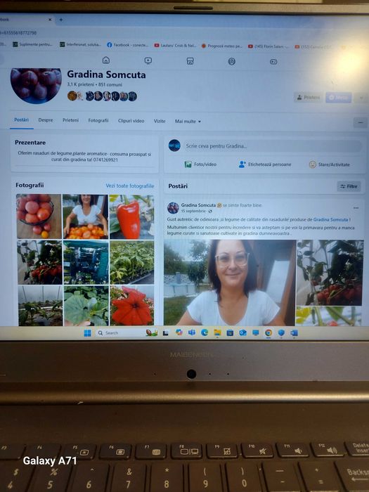 Rasaduri si plante aromatice - de calitate !