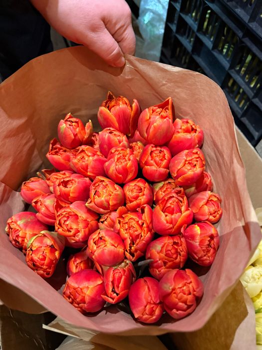 Свежие ,красивые тюльпаны ,букеты