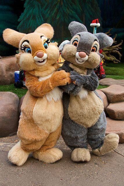 Аниматор костюмлари