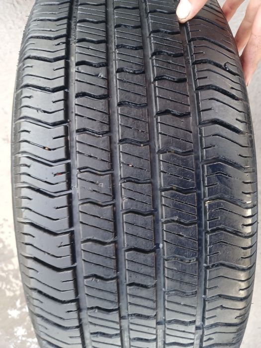 16 vossen saka diska balon