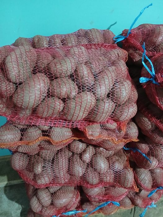 Cartofi albi și rosii