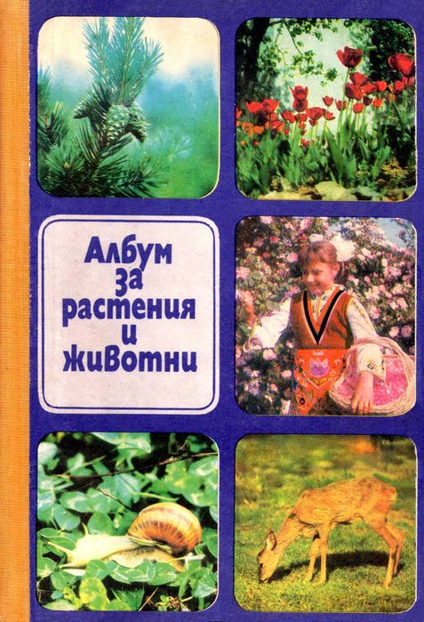 Детски книги,енциклопедии,комикси