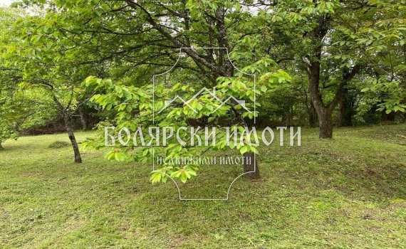 Продава се Парцел в с. Старилковци, Област Габрово - 627 кв.м за 13 €/кв.м - Снимка #4