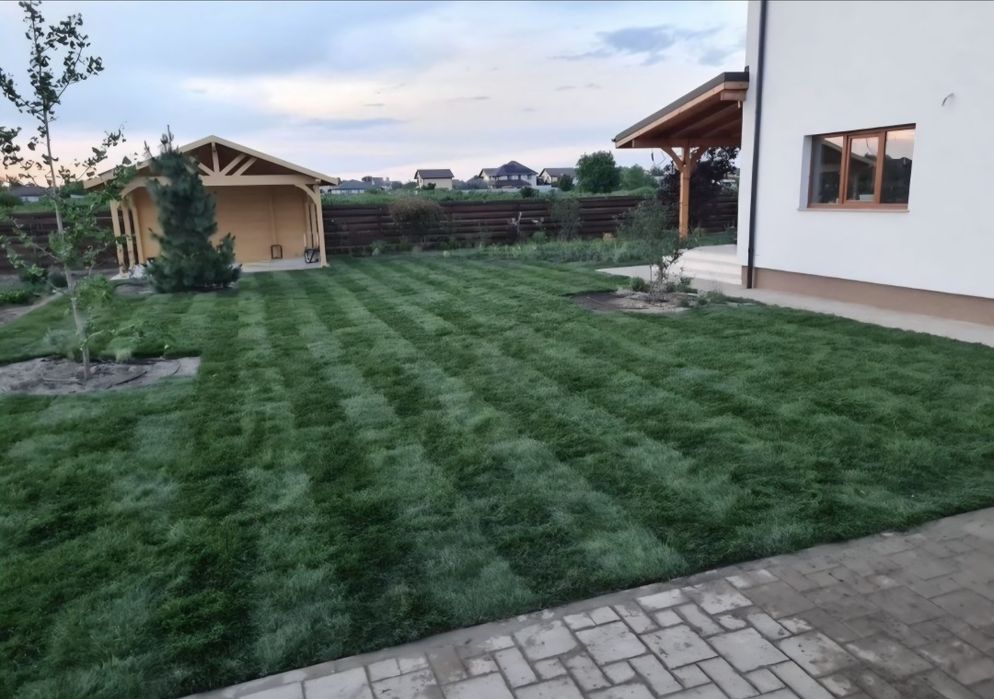 Amenajare gradina cu gazon rulou si plante ornamentale