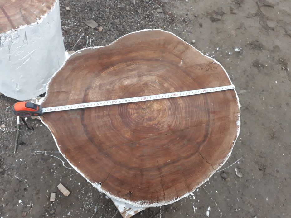 Чурбак ет шабатын