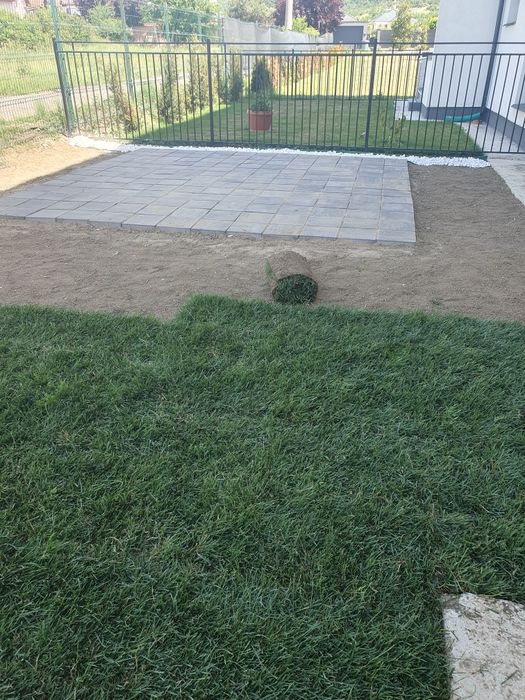 Gazon rulou sport calitate