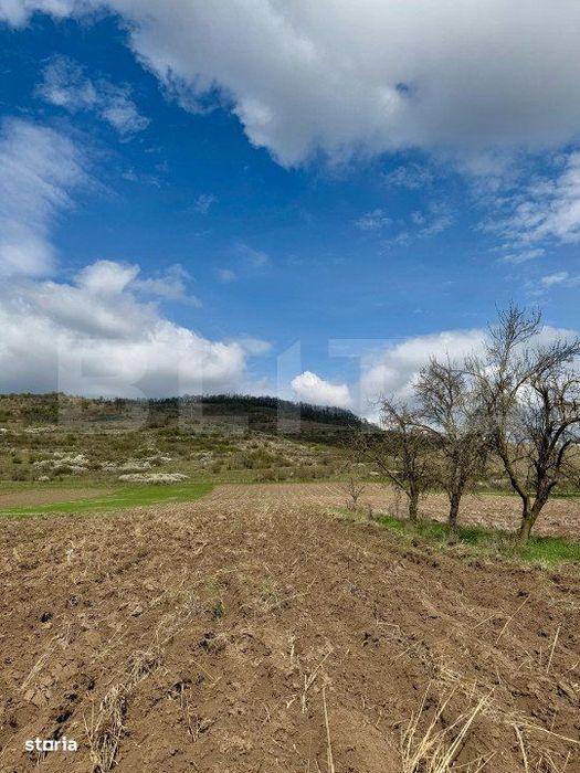 Teren intravilan de vanzare, 1500 mp, zona Șoimus