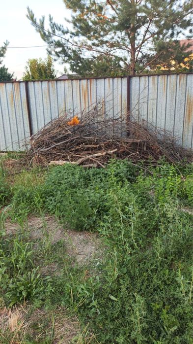 Дрова отдам даром