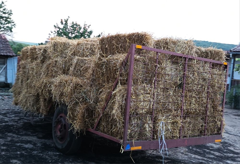 Vând baloți de paie