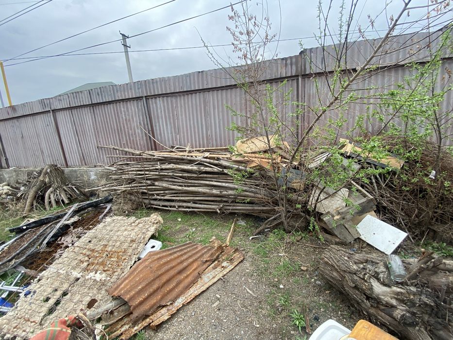 Отын агаш тегын.