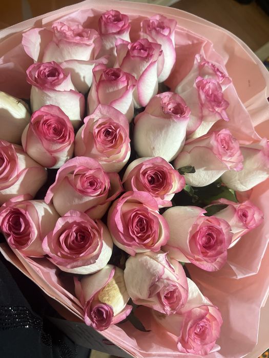 Гүл керектерің хабарласың