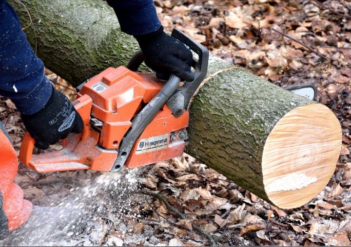Caut de treabă în domeniul lemnelor