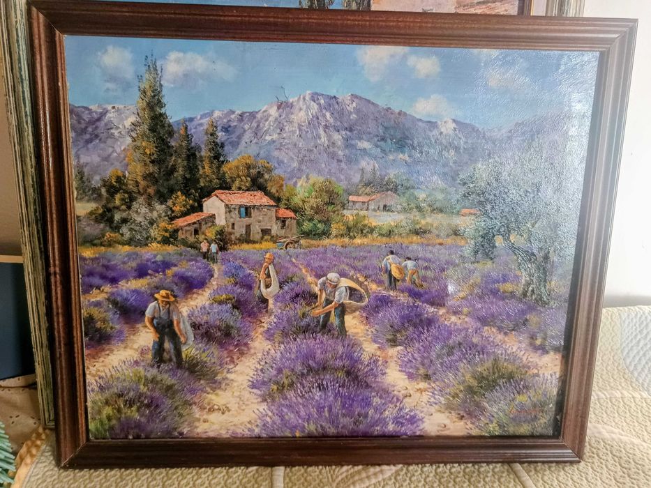 Лавандулово поле Картина