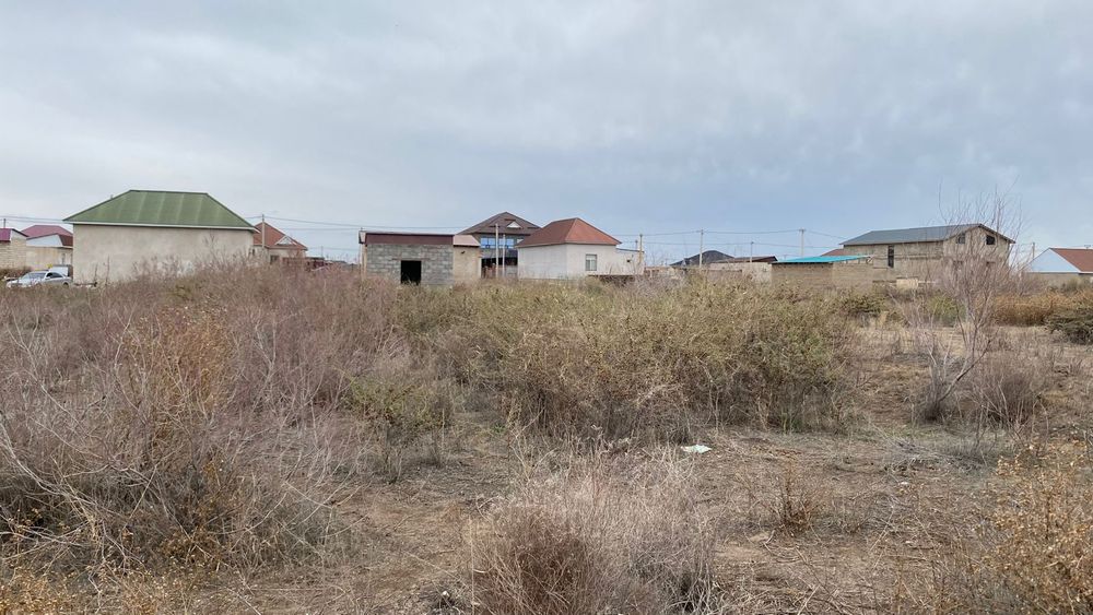 Жер байтерек 8 соттык