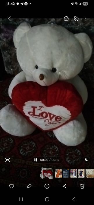 Yangi teddy ayiqcha sotiladi