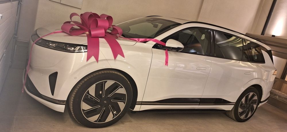 Бантик Бант Ташкент