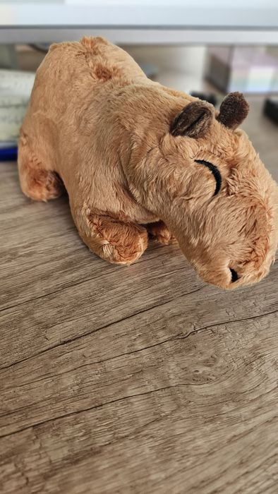 Capybara de plus Oferta!!! 2 buc la 40 de lei