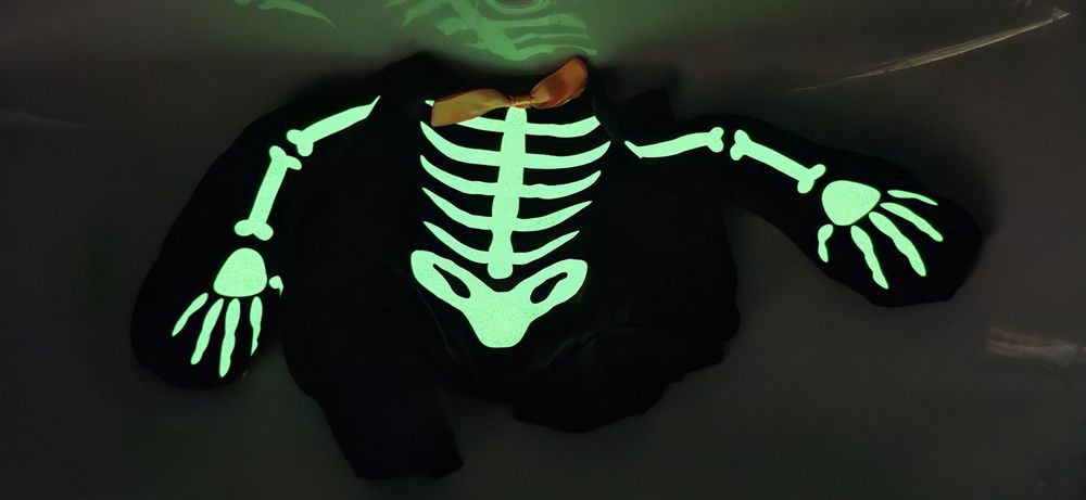 НОВ костюм за домашен любимец (малко куче, коте)