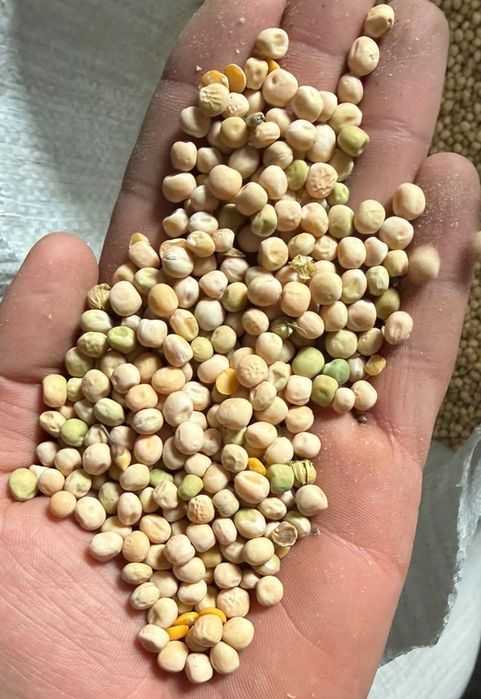 Семачка Горох Жмых подсолнечника