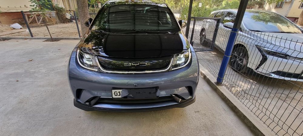 BYD DOLPHIN Knight version FULL