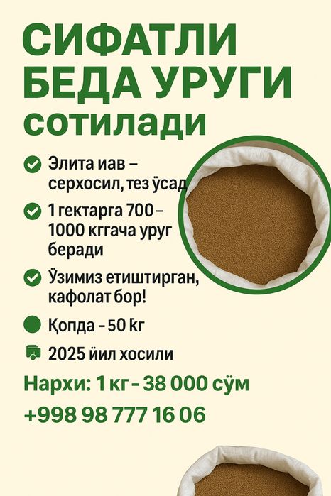 Sifatli beda urug‘i sotiladi! Tez unadi, serhosil.