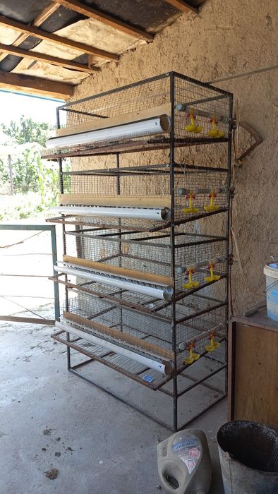 Клетка для перепелов