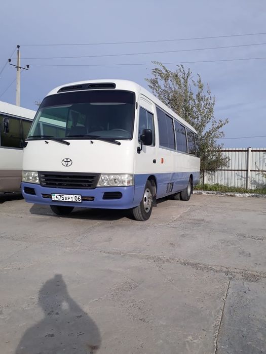 Аренда автобусов