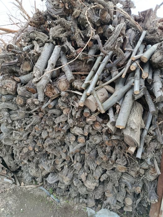 Утин кундачалар.