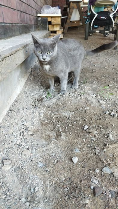 Пишите на Вацап, не звонить только!!!