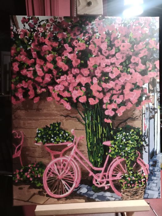 Ръчно рисувана по номера картина