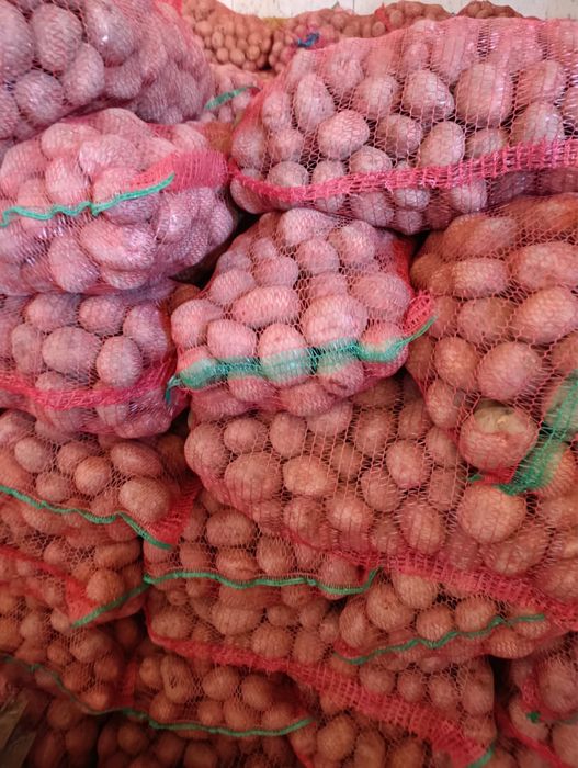 Vând cartofi de consum și sămânță