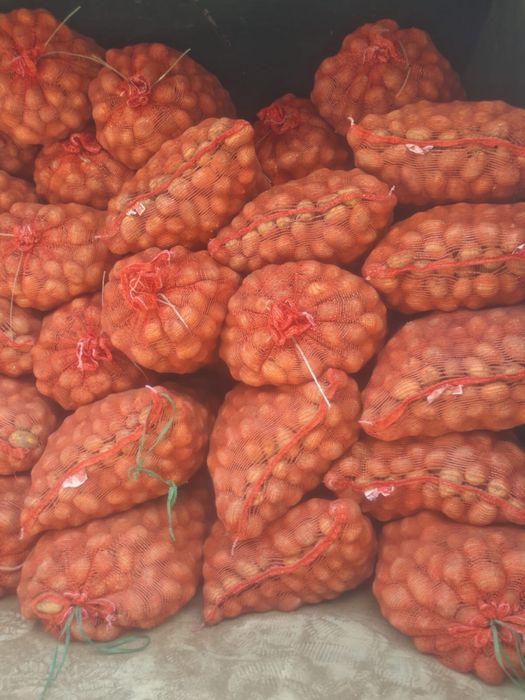 Картошка свежая