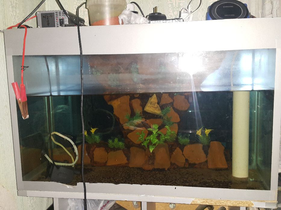 Продаётся аквариум