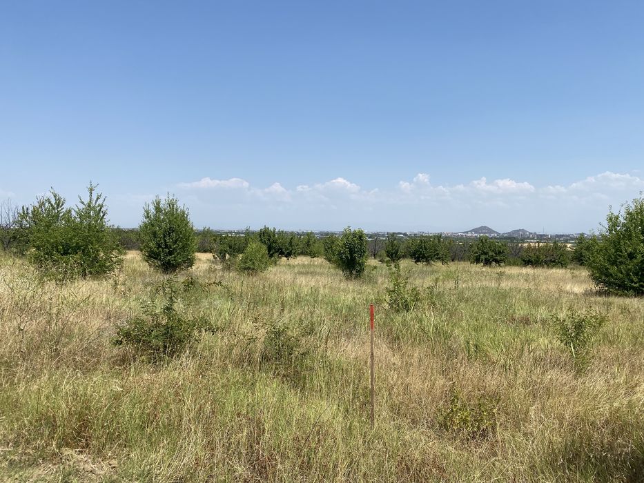 Продава се Парцел в Пловдив, Кючук Париж - 800 кв.м за 85 €/кв.м - Снимка #2