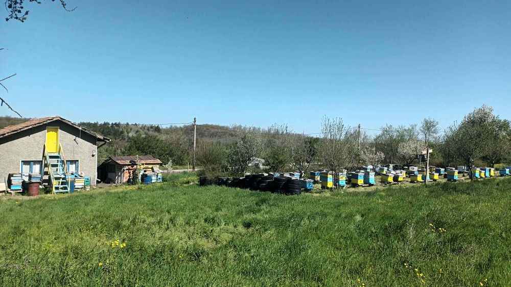 Къща в село Стойново, Община Антоново