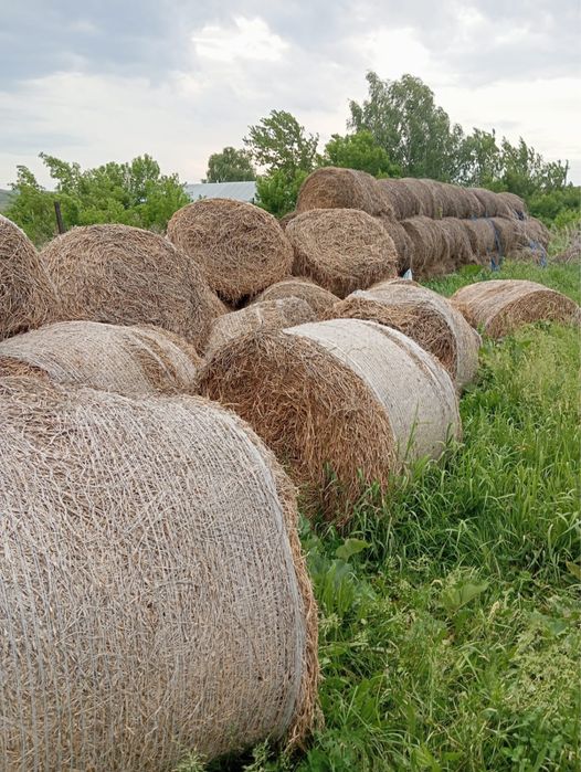 Продам сено хорошее