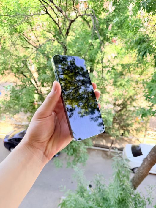 Iphone 13 pro max 128 gb