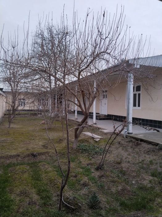 Uy Sotiladi ! ! ! 8 sotix