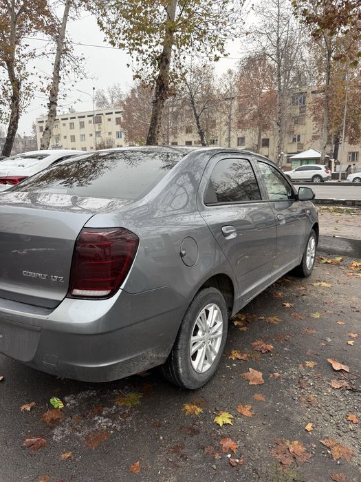 Кобалт родной 2020