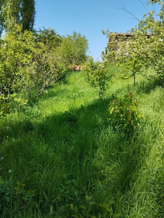 Йер сотилади 16 сотих