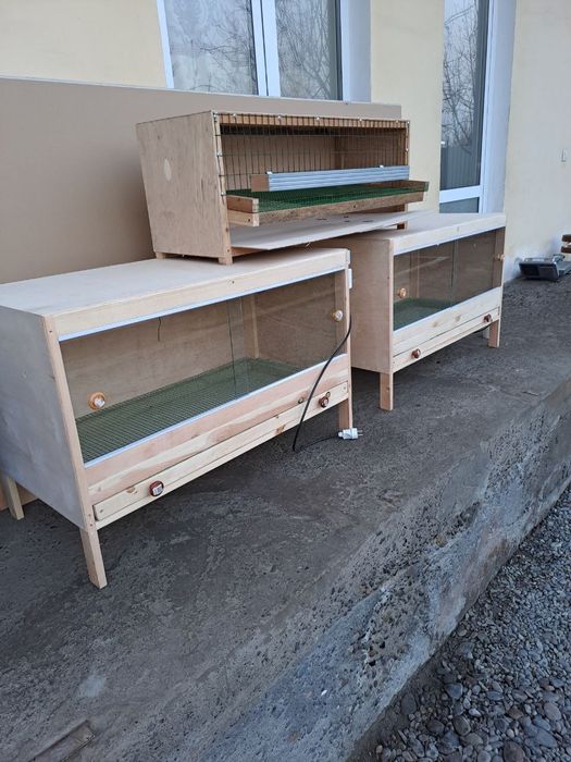 Bruder yasab beramiz