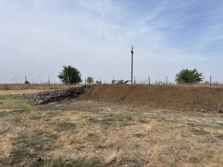 Mraniță de vacă.!