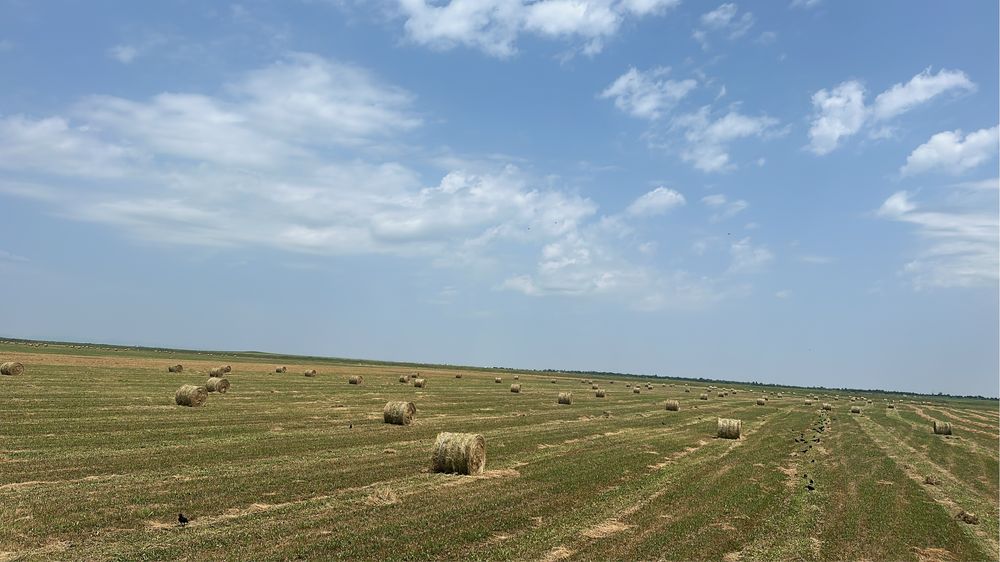 Baloti de fan  120/120